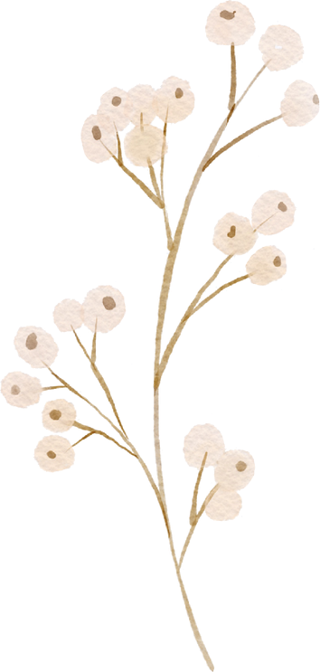 Decoratief blad rechtsonder